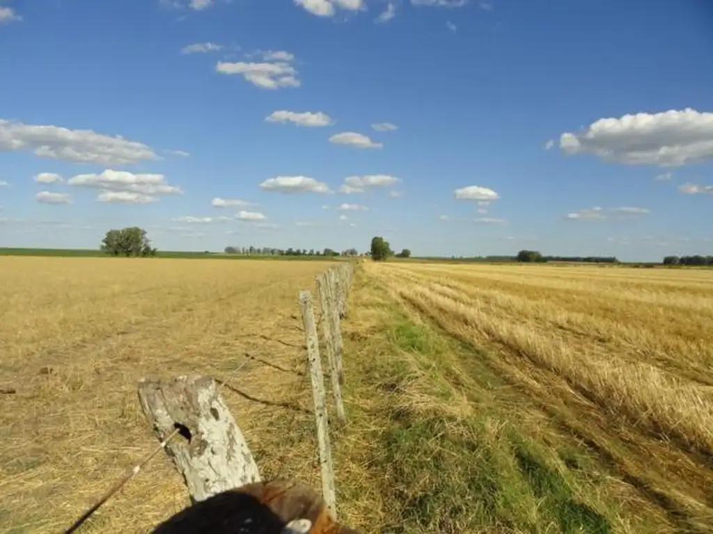 Campo en Venta  cercano a Urdinarrain