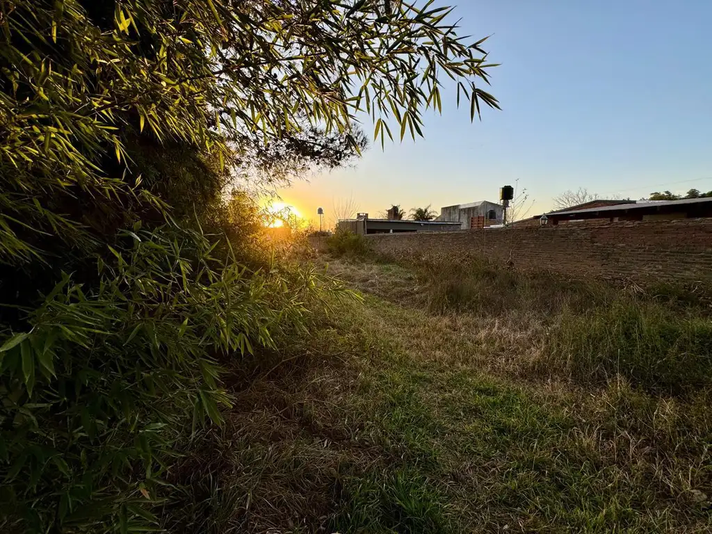 Ibarlucea y Santa Teresa - Terreno en venta - Andino