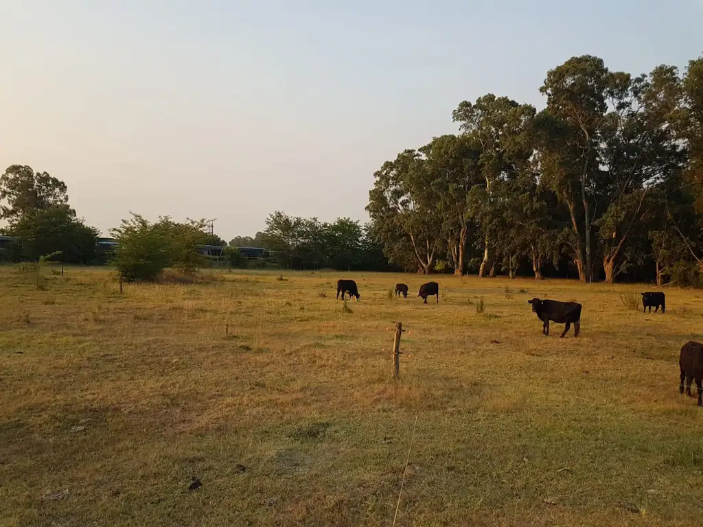 CHACRA de 1 hectáreas en Cañuelas