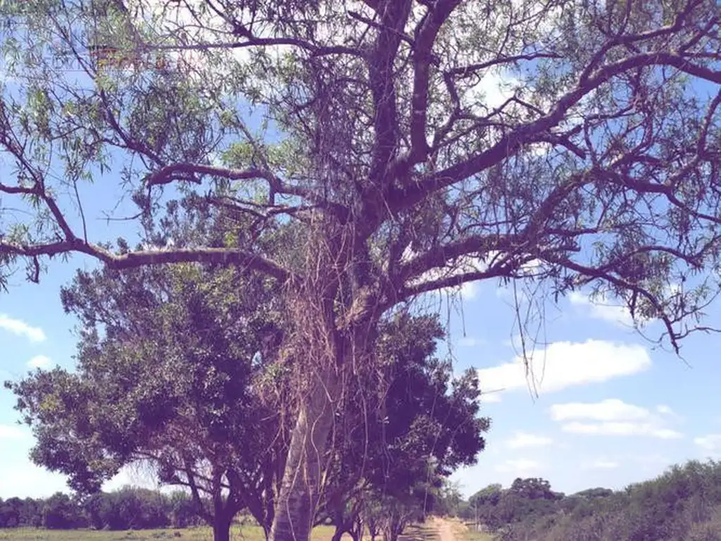 Terreno en  Entre Rios