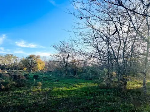 Terreno en Molino Blanco