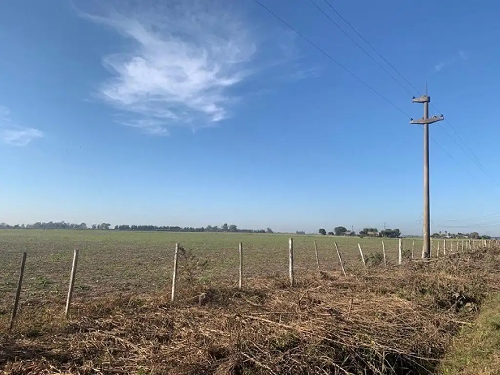 CAMPO ZONA RURAL SOLDINI 6HAS  AGRICOLAS