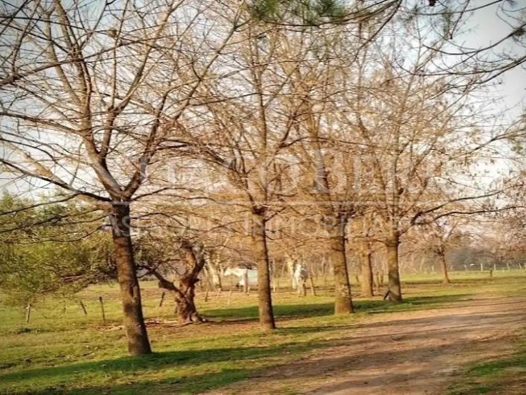 Terreno Campo  en Venta en Exaltación de la Cruz, G.B.A. Zona Norte, Argentina