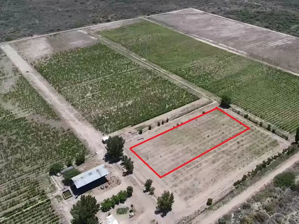 VENTA FINCA 4O HECTAREAS CON RIEGO Y POZO,PLANTACIONES,SANTA ROSA,MENDOZA