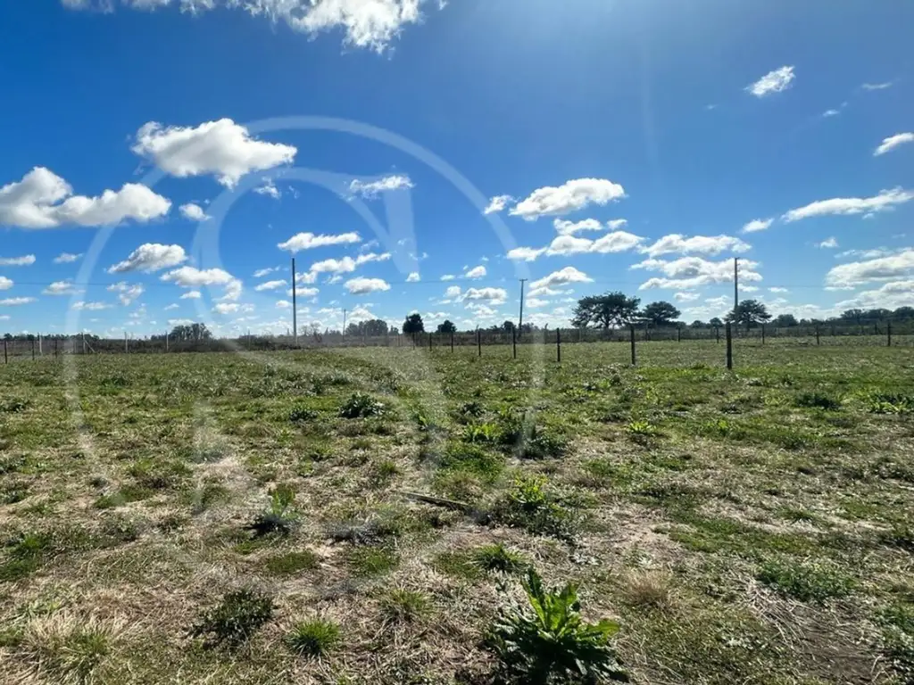 TERRENO EN VENTA LAS ACACIAS EXALTACIÓN DE LA CRUZ