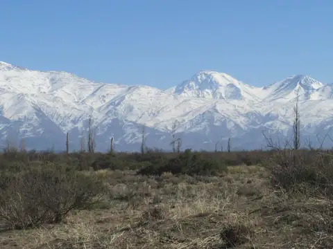 Campo en Venta en Gualtallary Valle de Uco