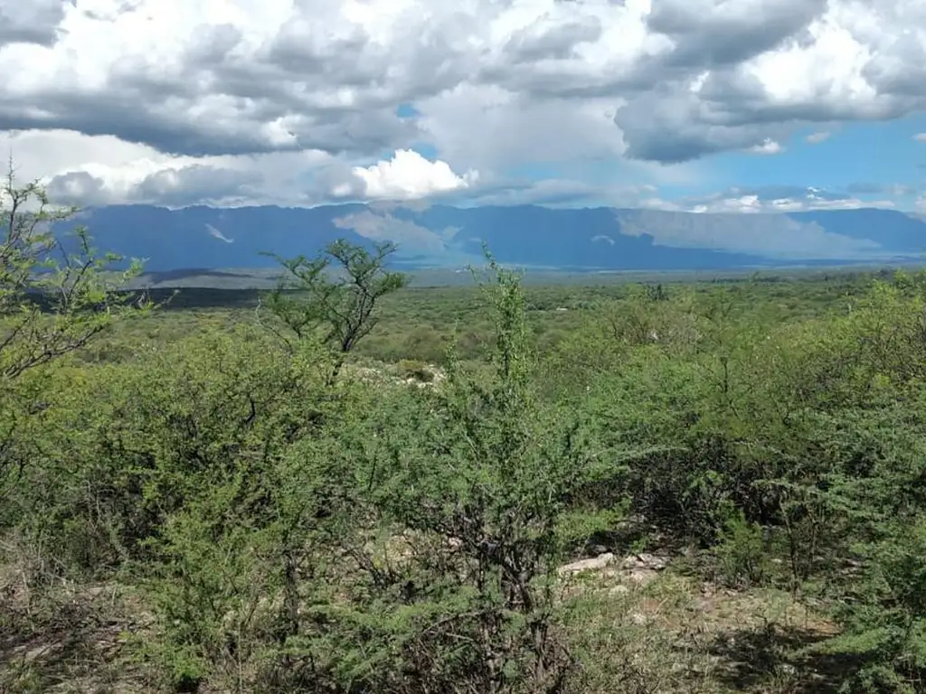 Excelente terreno en venta en Sauce Arriba, Traslasierra