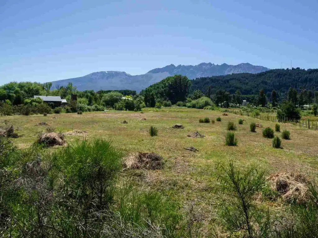 TERRENO EN LAGO PUELO