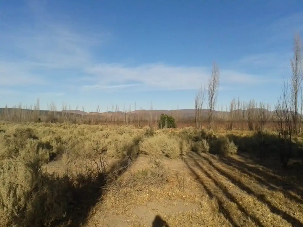 LOTE PARA EMPRENDIMIENTO - OPORTUNIDAD   SAN RAFAEL MENDOZA 9200 M2 CASI 1 Ha