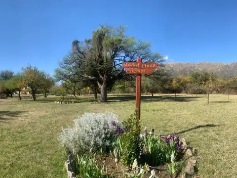 Hermoso Complejo De Cabañas En San Luis - Cortaderas