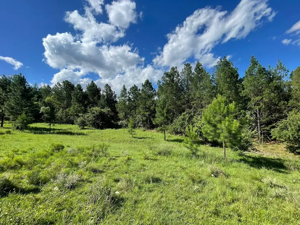 SE VENDE LOTE DE 4 HECTAREAS EN SAN CLEMENTE