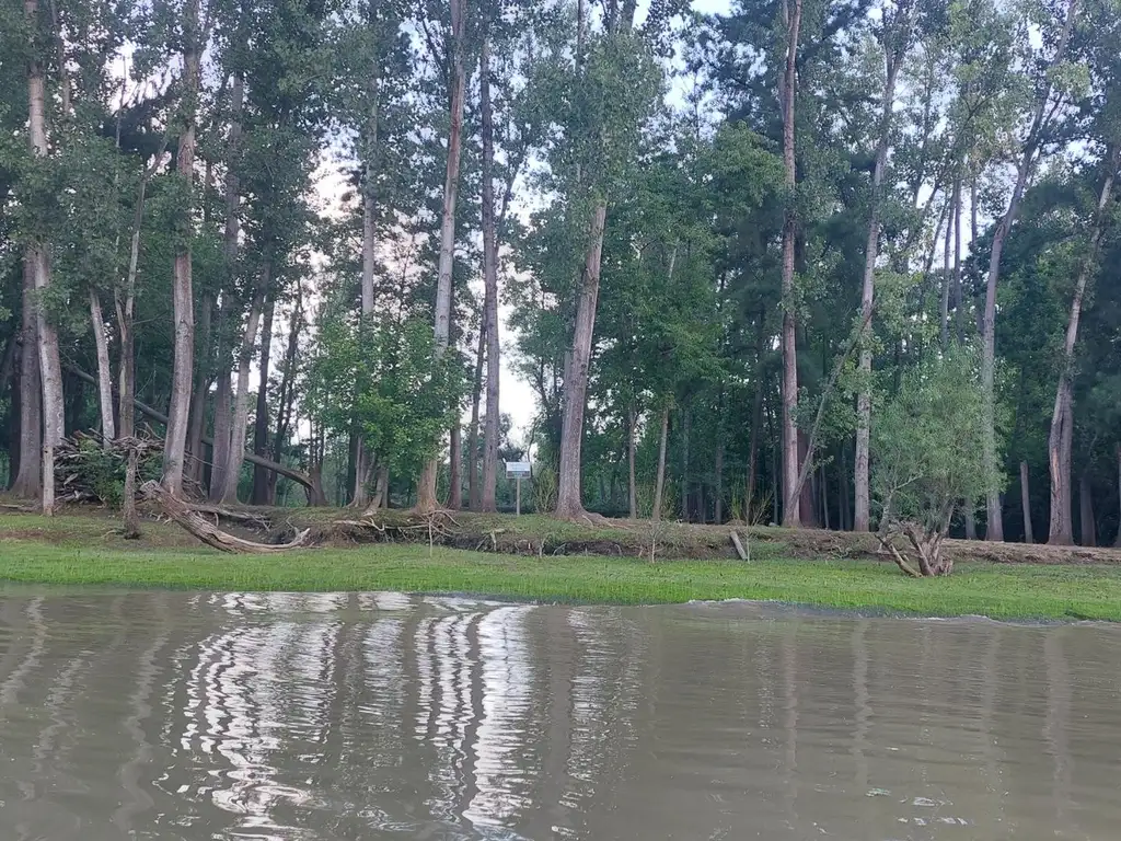 Terreno de Isla sobre Canal Alem Campana Bs As