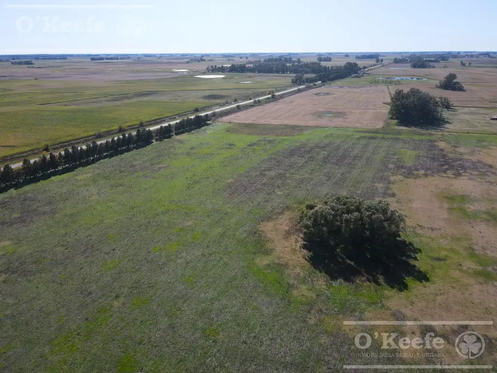 Campo en venta de 77 has en  Saladillo - Agricola ganadero