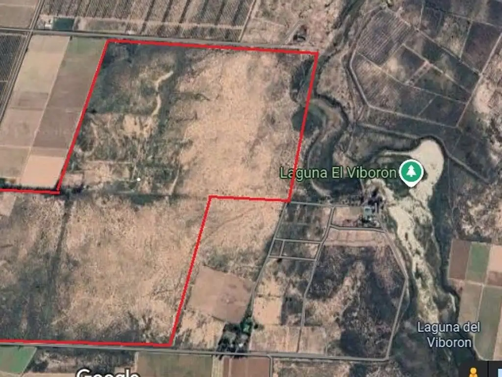 CAMPO EN VENTA RODEO DEL MEDIO MAIPU MENDOZA