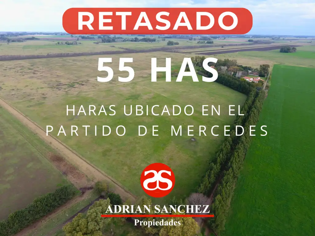 RETASADO : EXCEPCIONAL HARAS DE 55 HAS EN EL PARTIDO DE MERCEDES