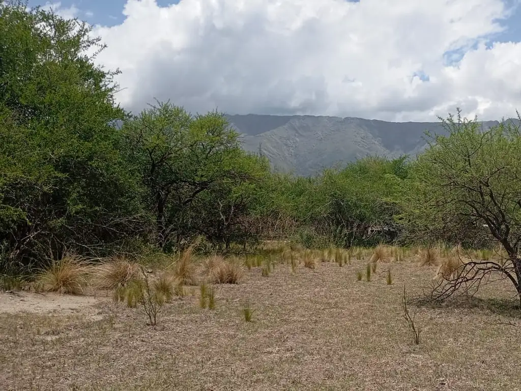 Venta de terreno de terreno de 5.000 m2 en Cruz de caña - Valle de Traslasierras