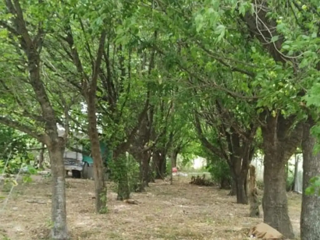 Chacras del Lago. Lote de 3200 metros. NO PAGA EXPENSAS  Moreno