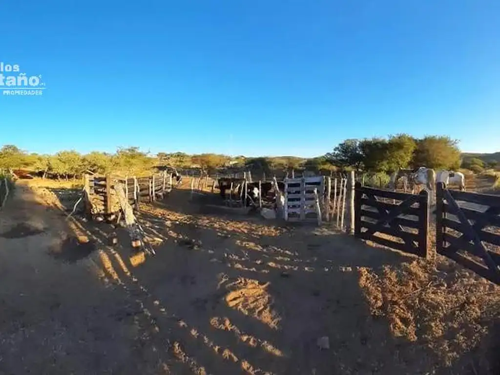 Sector Turístico y Ganadero de 180h con Casa de 3 Amb. Cerca del Rio