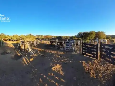 Sector Turístico y Ganadero de 180h con Casa de 3 Amb. Cerca del Rio