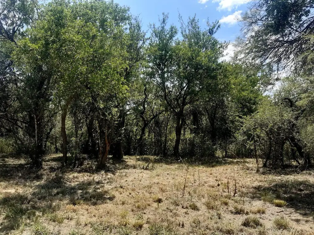 Terreno en Venta, hermoso,,,Naturaleza a Pleno.. Camino Barranca de Los Loros  en Traslasierras