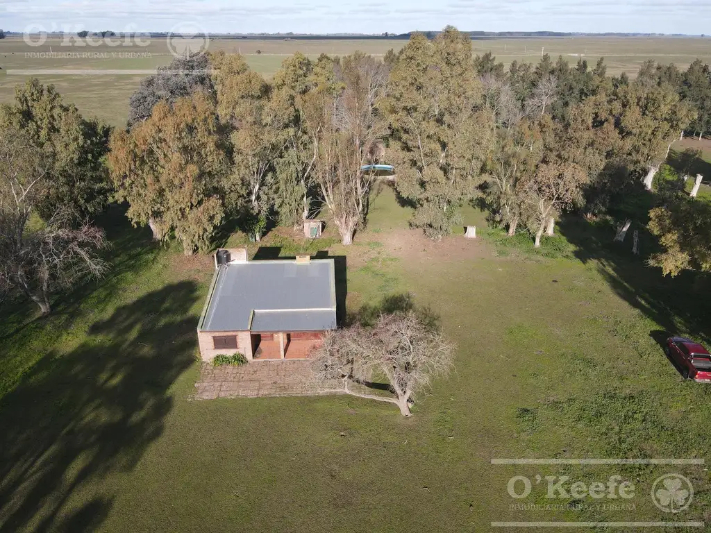 Fracción de Campo de 209 Has en Venta -  La Plata