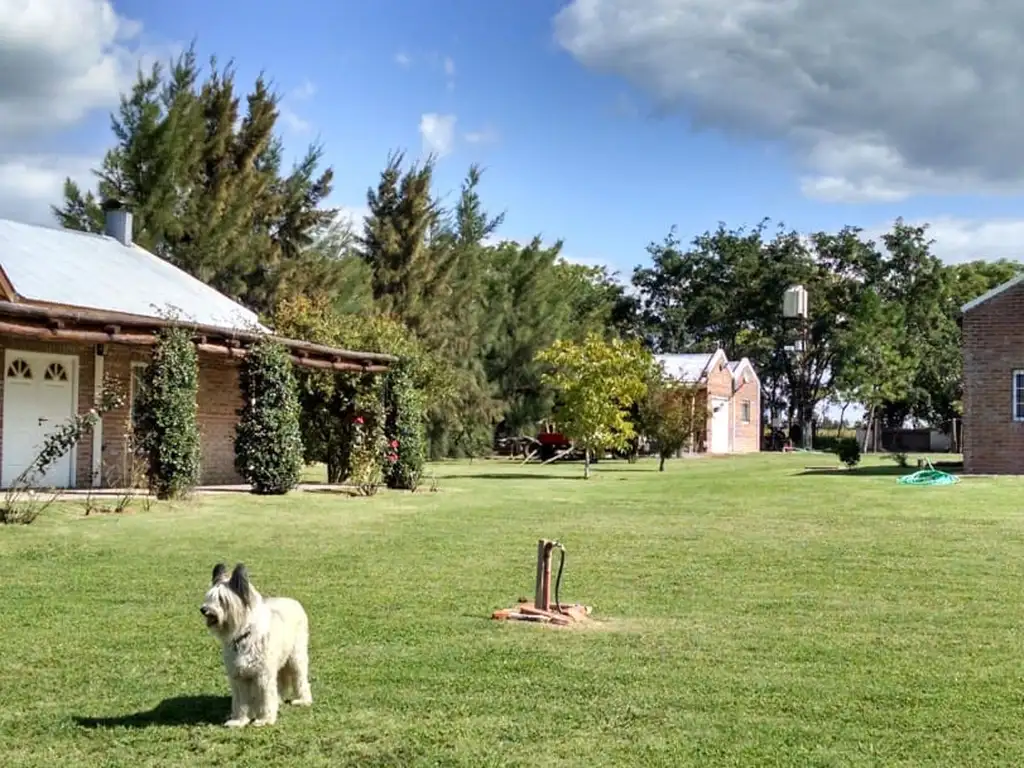 QUINTA DE 2HAS 30AREAS EN PLENA NATURALEZA