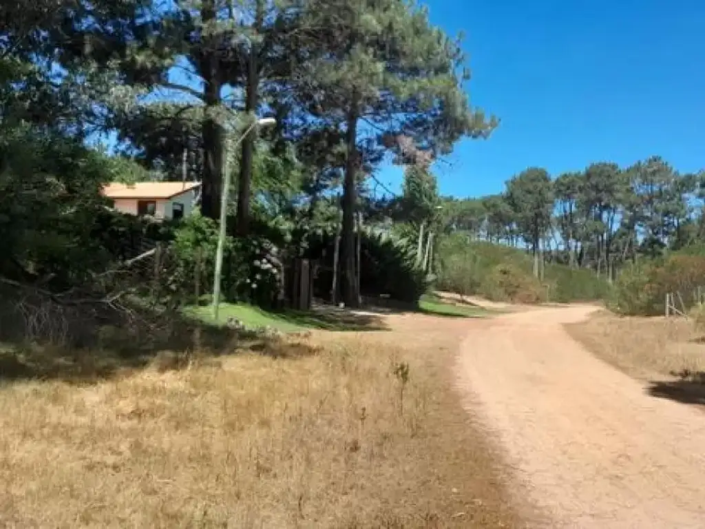 Emocionante oportunidad de terreno rodeado de naturaleza y serenidad.