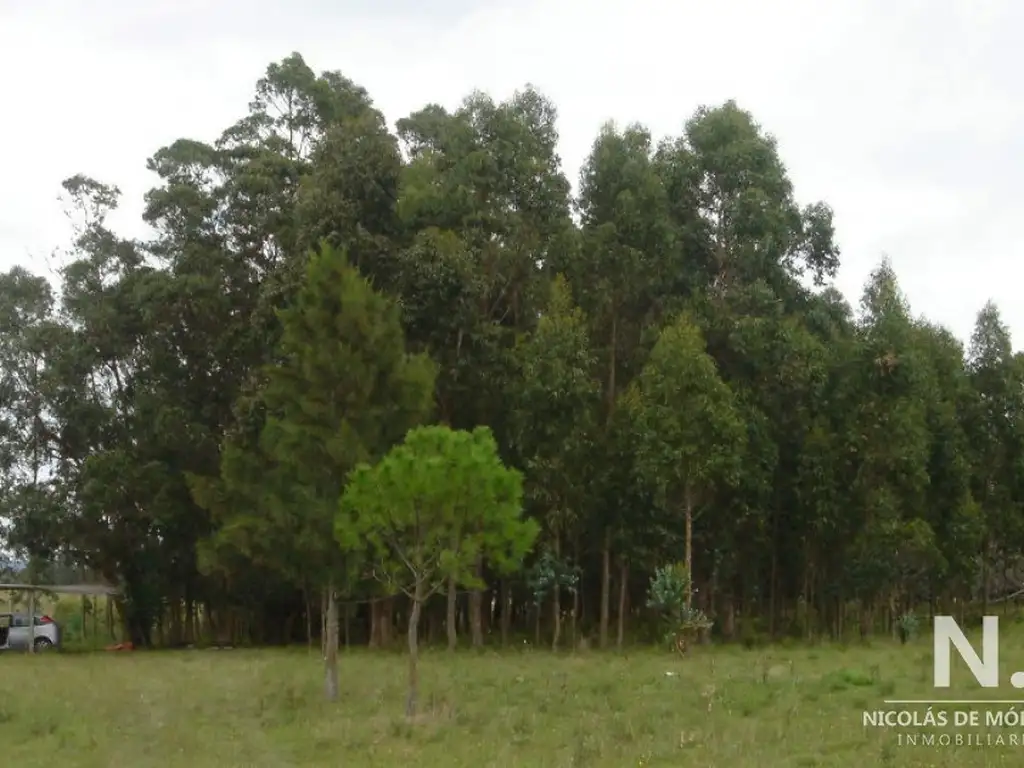 En venta enorme terreno en Barrio Camino Eguzquiza