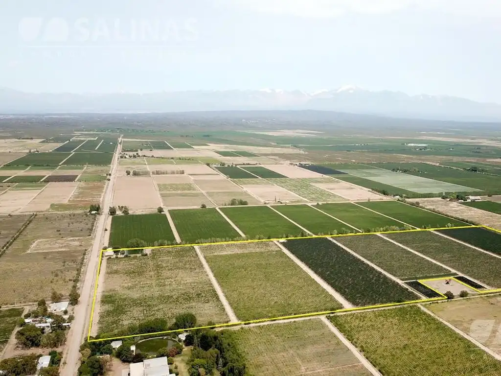 30 Has. Finca con viñedos en Luján de Cuyo