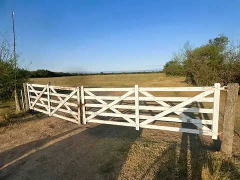 Venta Campo en Sa Pereira