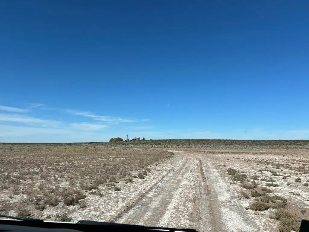 Venta Campo con Regalías , General Roca