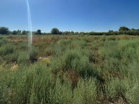 Finca En Venta en Colonia Segovia. 7,5 Has