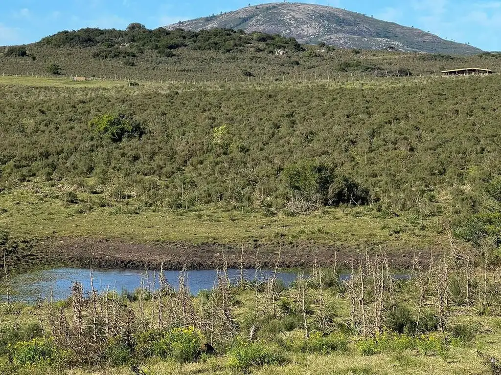 Venta de Chacra en Maldonado Uruguay