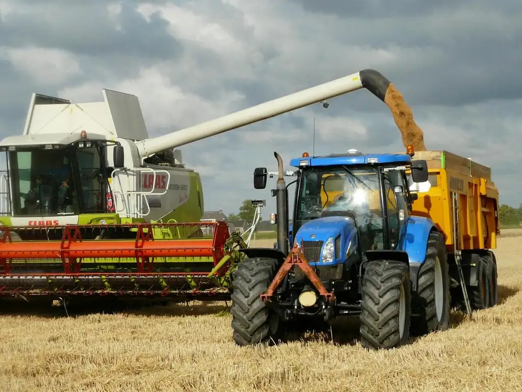 Campo de 63HA Agrícolas en Coronel Arnold