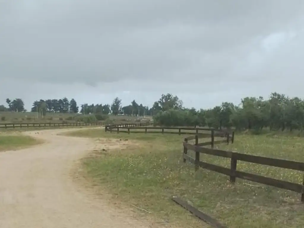 Quinta - Alquiler temporario - Uruguay, Maldonado