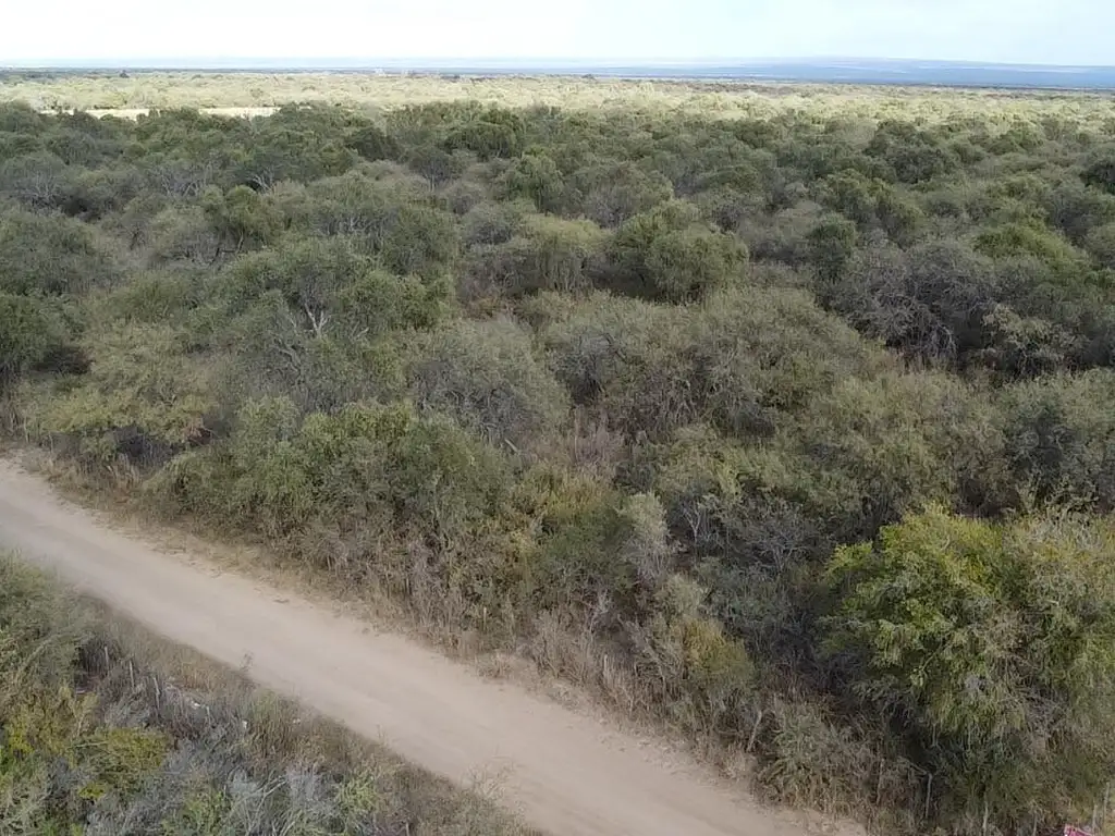 Campo de 20 Hectareas en  Venta en La Paz, Traslasierra