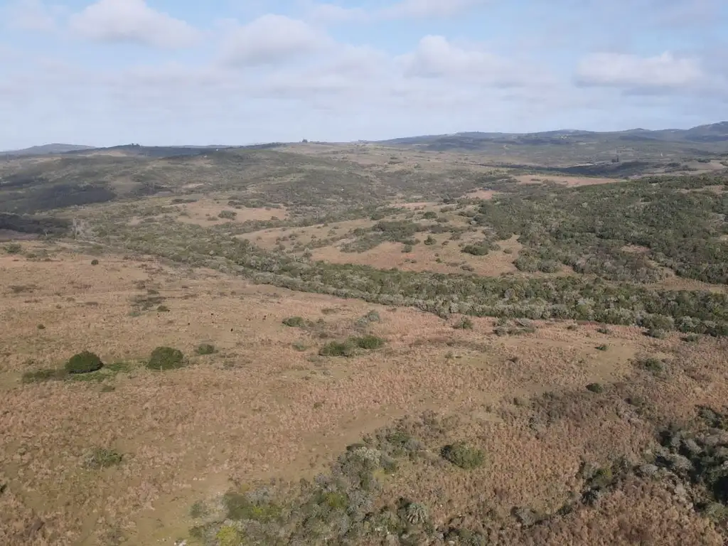 Campo de 19 ha al norte de Garzón con costa de arroyo