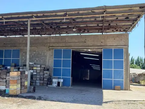 Alquilo Galpon 1000 m2 Ofi 30 m2 - Zona chacras Cipoletti