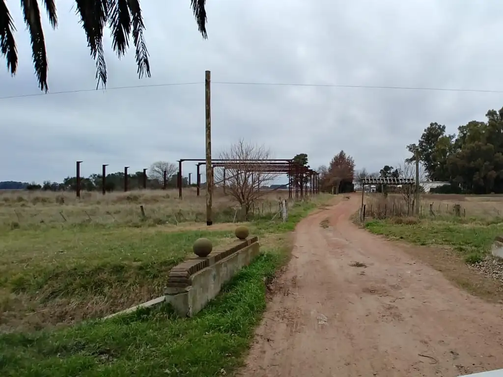 Sobre Ruta 3 - Excelente fracción de campo - Ingreso AZUL - Provincia de Buenos Aires