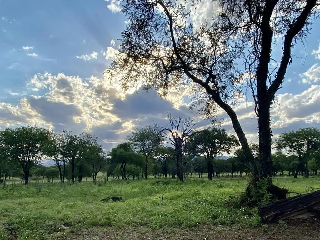 VENTA LOTE - Estancia el Terron - Fondo Golf Hoyo 3 - Excelente ubicación