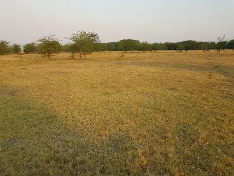 CHACRA de 1 hectáreas en Cañuelas - Foto 0