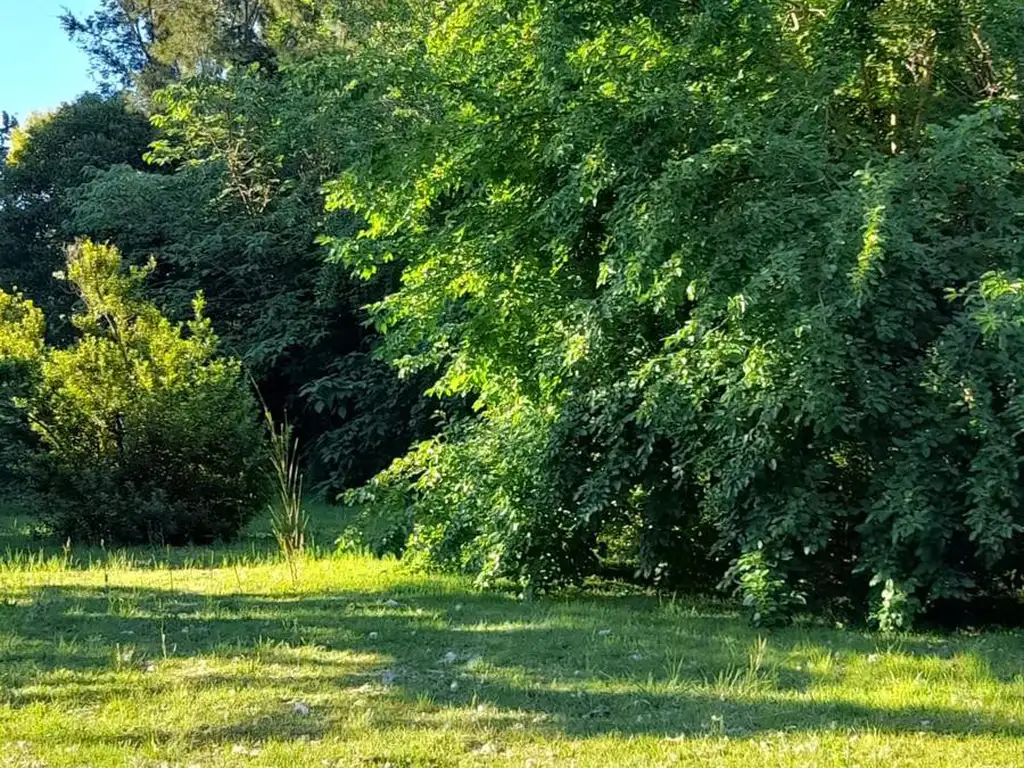 Muy lindo terreno en zona Los Cedros