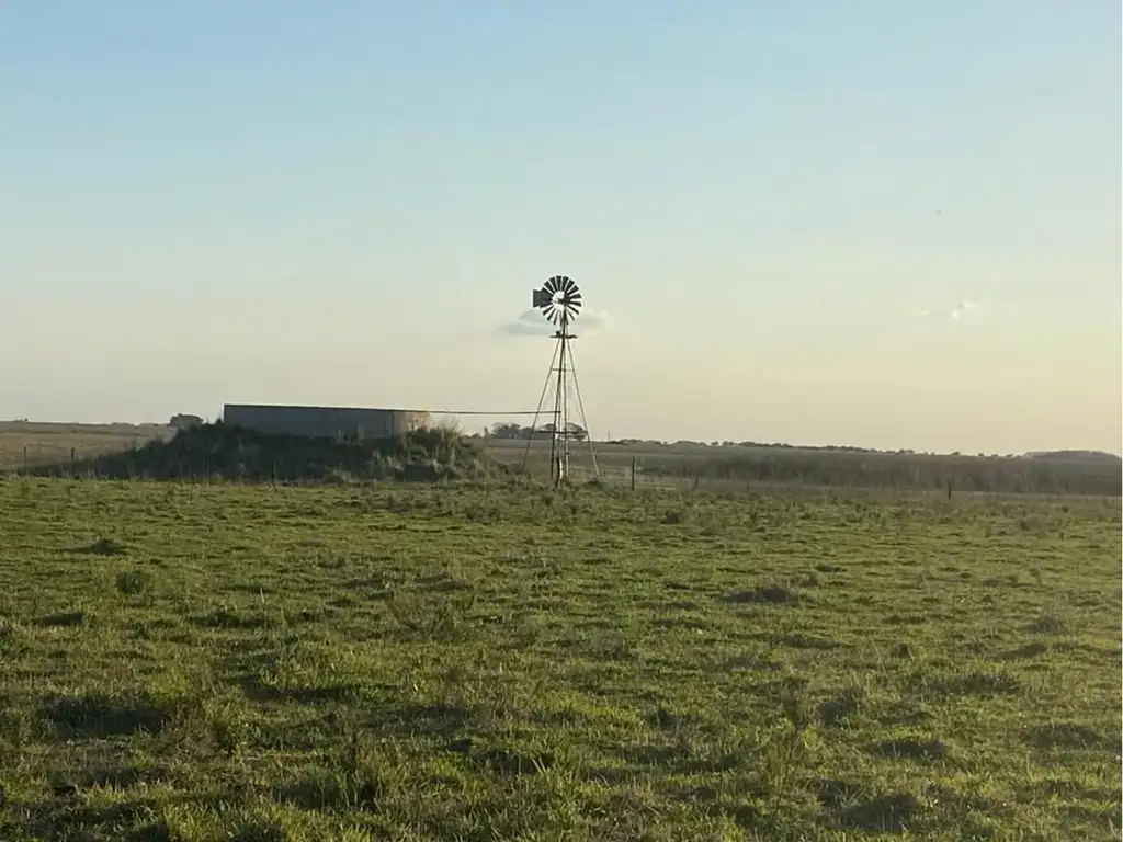 Madariaga. Campo 108 ha. Escuchamos Propuestas