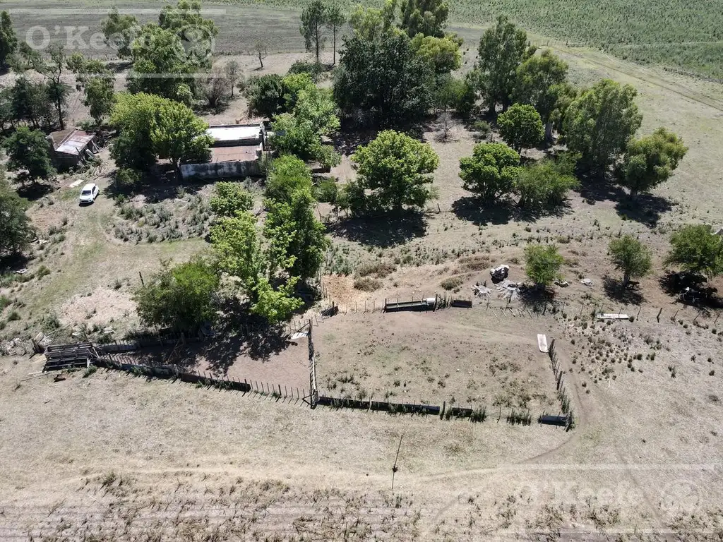 Campo mixto en venta de 60 Has a 2.5 km de  Loma Verde  - Ranchos