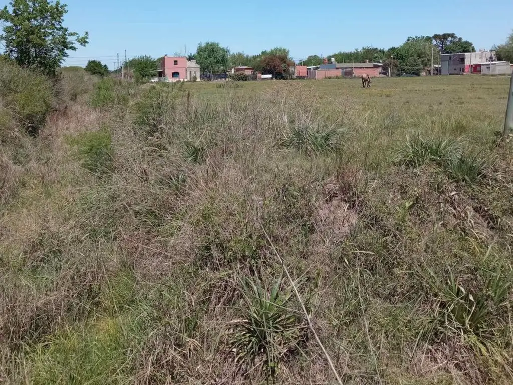 VENTA DE TERRENO EN SAUCE VIEJO