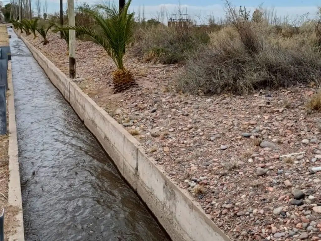 Campo en Cruz de Piedra Maipu apto para cultivo