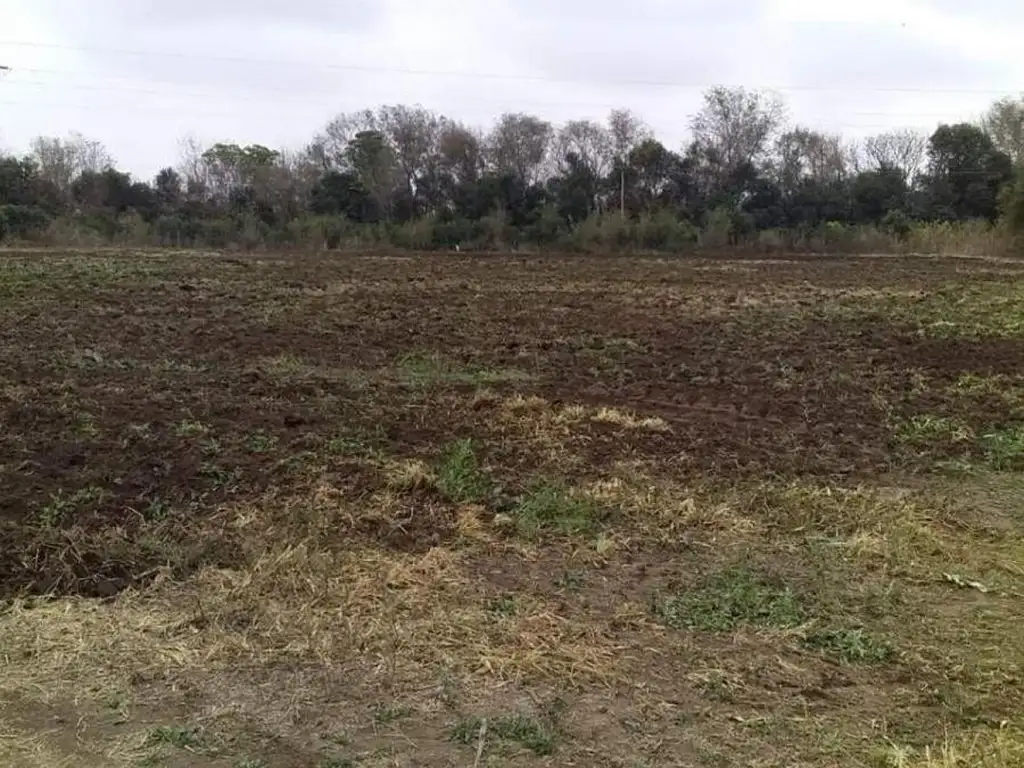 1.6 Hectarea Camino 60 Cuadras  Cerca Del Predio Del Taborin