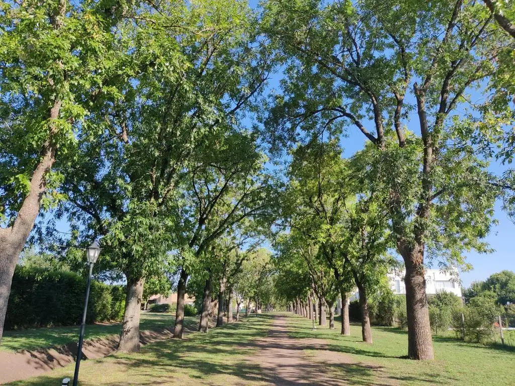 Terreno interno en Santa Guadalupe