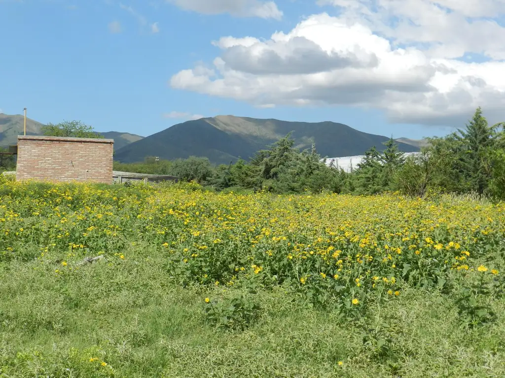 Campo 31 has en El Carrizal, Punilla, Sierras de Córdoba. Apto todo destino!