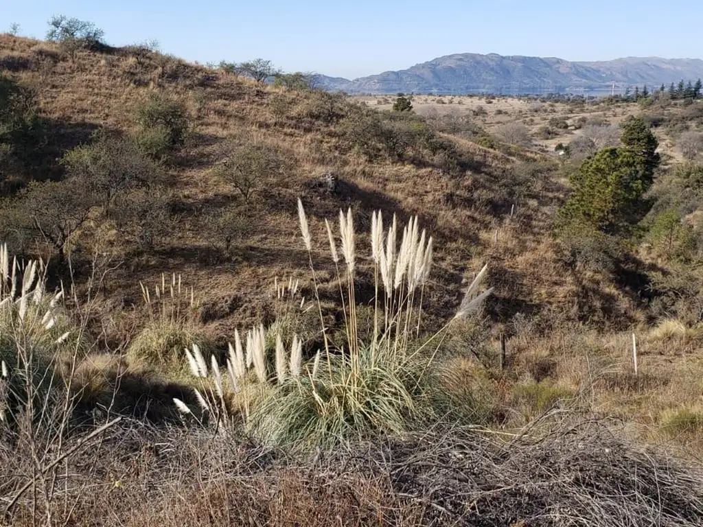 TERRENO EN VENTA DIQUE LOS MOLINOS